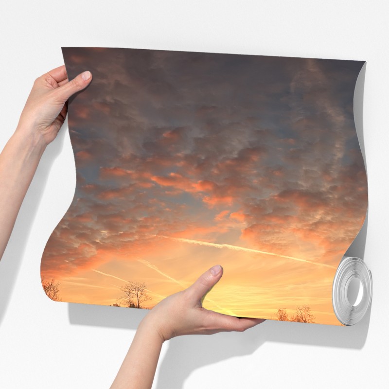 Fototapeta zachód słońca nad spokojną łąką – Wallissimo® Fototapeta zachód słońca nad spokojną łąką – Wallissimo®