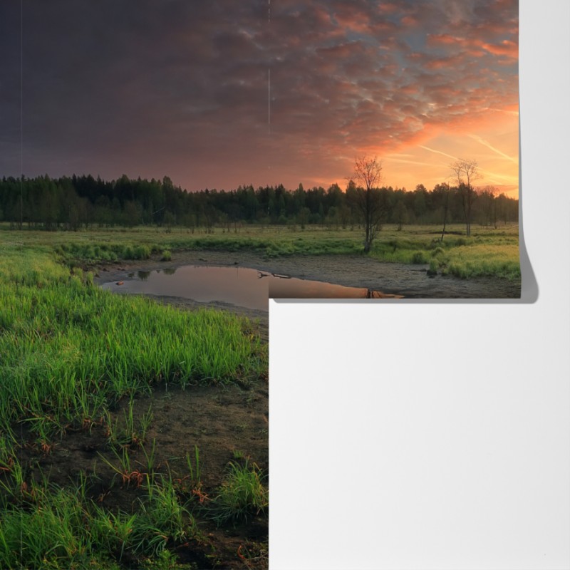 Fototapeta zachód słońca nad spokojną łąką – Wallissimo® Fototapeta zachód słońca nad spokojną łąką – Wallissimo®