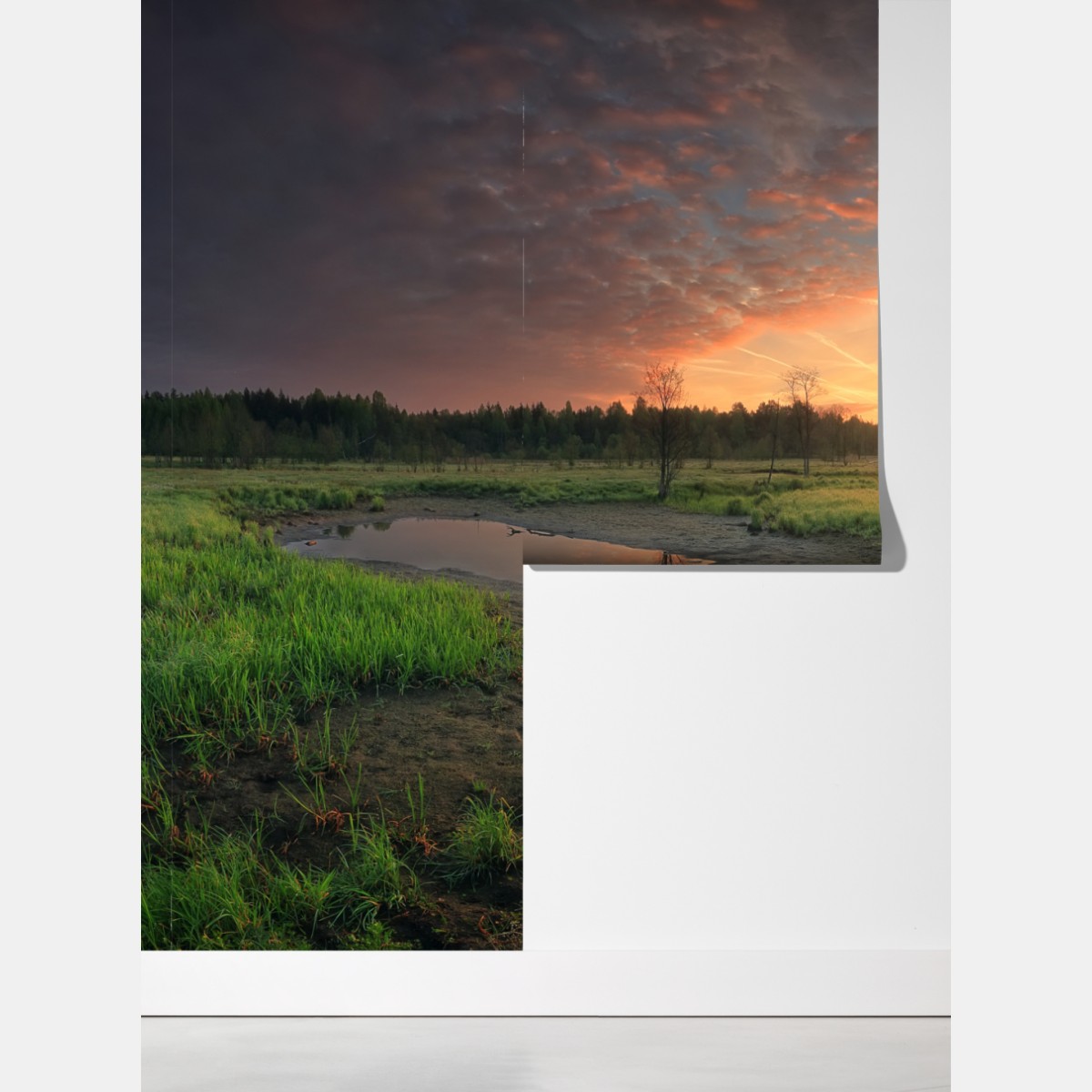 Fototapeta zachód słońca nad spokojną łąką – Wallissimo® Fototapeta zachód słońca nad spokojną łąką – Wallissimo®