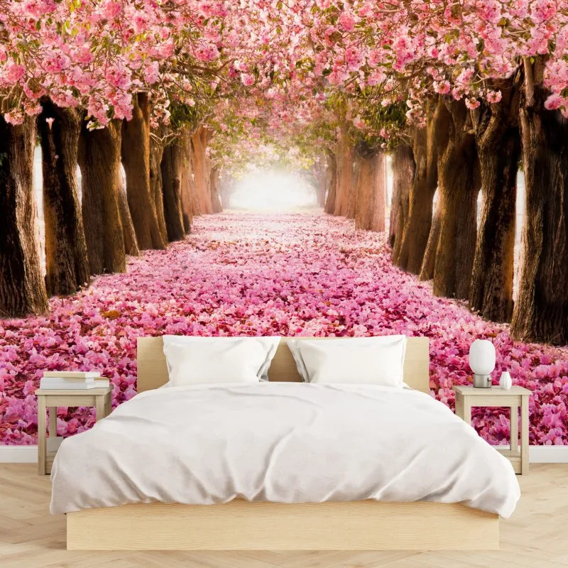 Wall mural pink blossom pathway under cherry trees