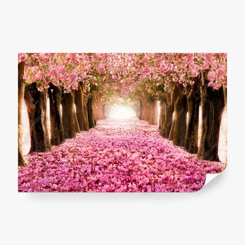 Fototapeta Monako panorama wybrzeża o zmierzchu – Wallissimo®