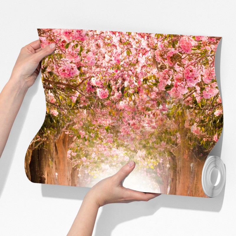 Fototapeta różowa aleja kwiatów wiśni – Wallissimo® Fototapeta różowa aleja kwiatów wiśni – Wallissimo®