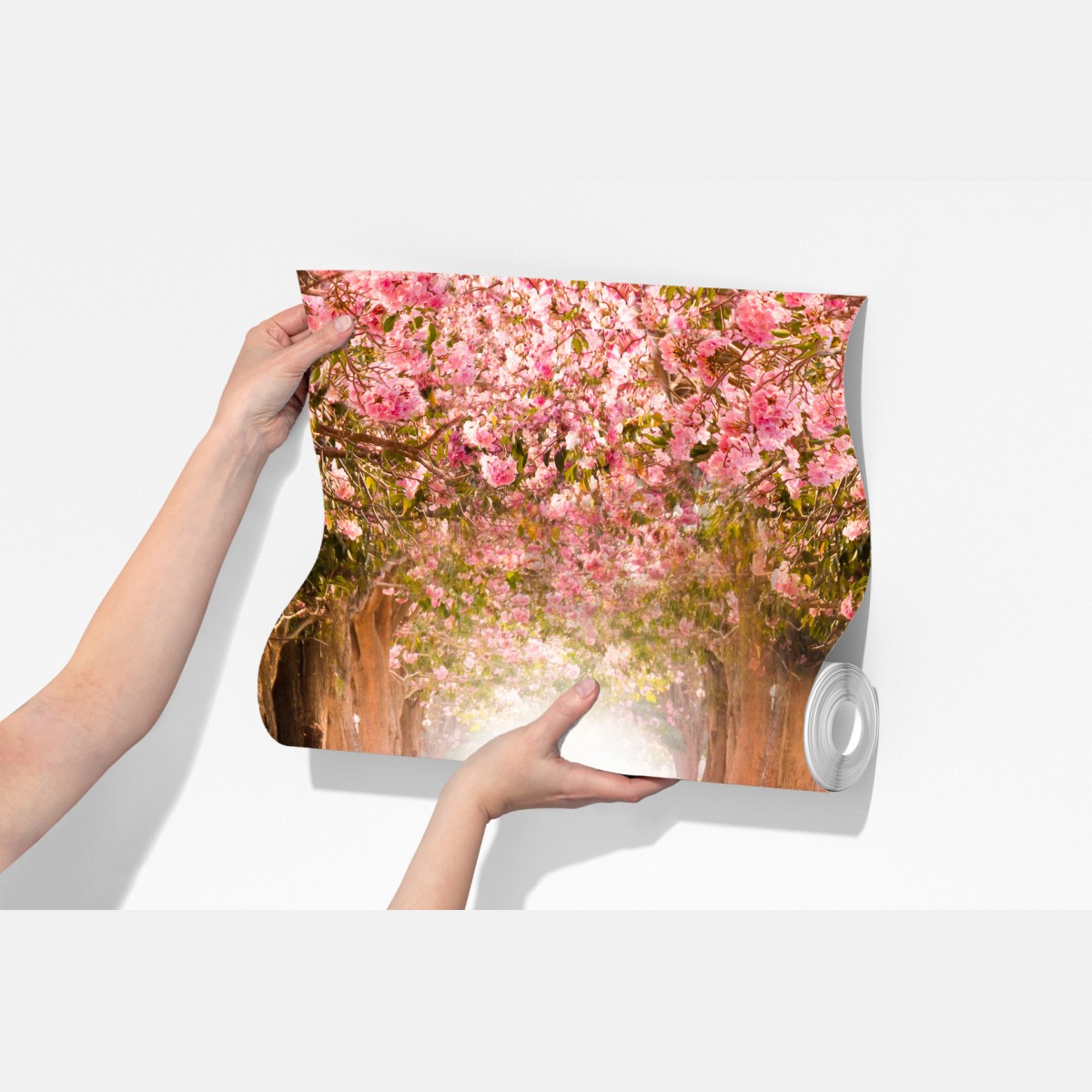 Fototapeta różowa aleja kwiatów wiśni – Wallissimo® Fototapeta różowa aleja kwiatów wiśni – Wallissimo®