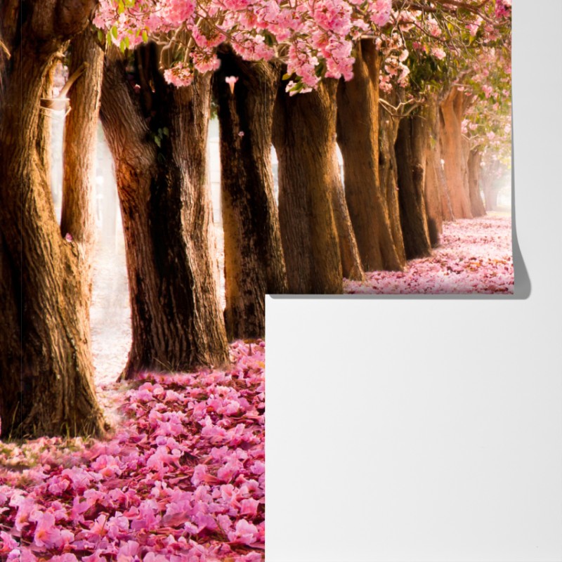 Fototapeta różowa aleja kwiatów wiśni – Wallissimo® Fototapeta różowa aleja kwiatów wiśni – Wallissimo®