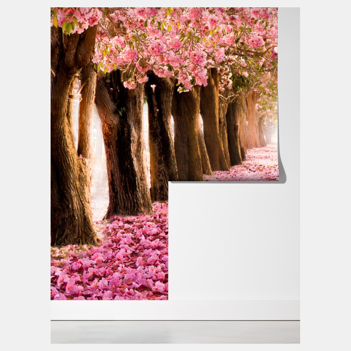 Fototapeta różowa aleja kwiatów wiśni – Wallissimo® Fototapeta różowa aleja kwiatów wiśni – Wallissimo®