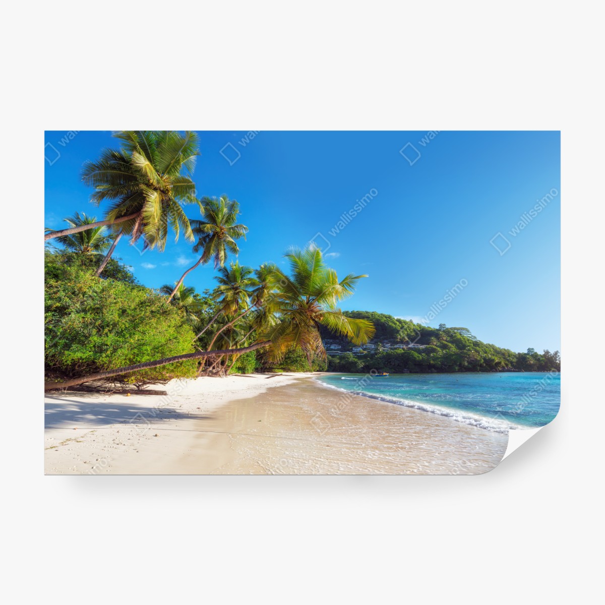 Fototapeta tropikalna plaża z palmami – Wallissimo® Fototapeta tropikalna plaża z palmami – Wallissimo®