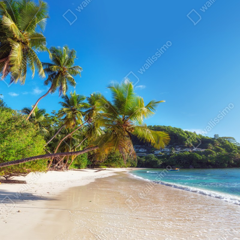 Fototapeta tropikalna plaża z palmami – Wallissimo® Fototapeta tropikalna plaża z palmami – Wallissimo®