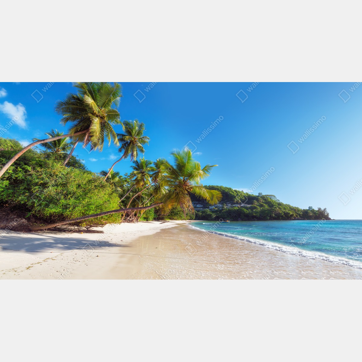 Fototapeta tropikalna plaża z palmami – Wallissimo® Fototapeta tropikalna plaża z palmami – Wallissimo®