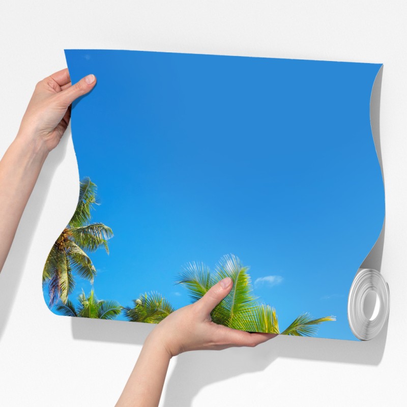 Fototapeta tropikalna plaża z palmami – Wallissimo® Fototapeta tropikalna plaża z palmami – Wallissimo®