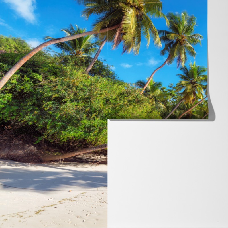 Fototapeta tropikalna plaża z palmami – Wallissimo® Fototapeta tropikalna plaża z palmami – Wallissimo®