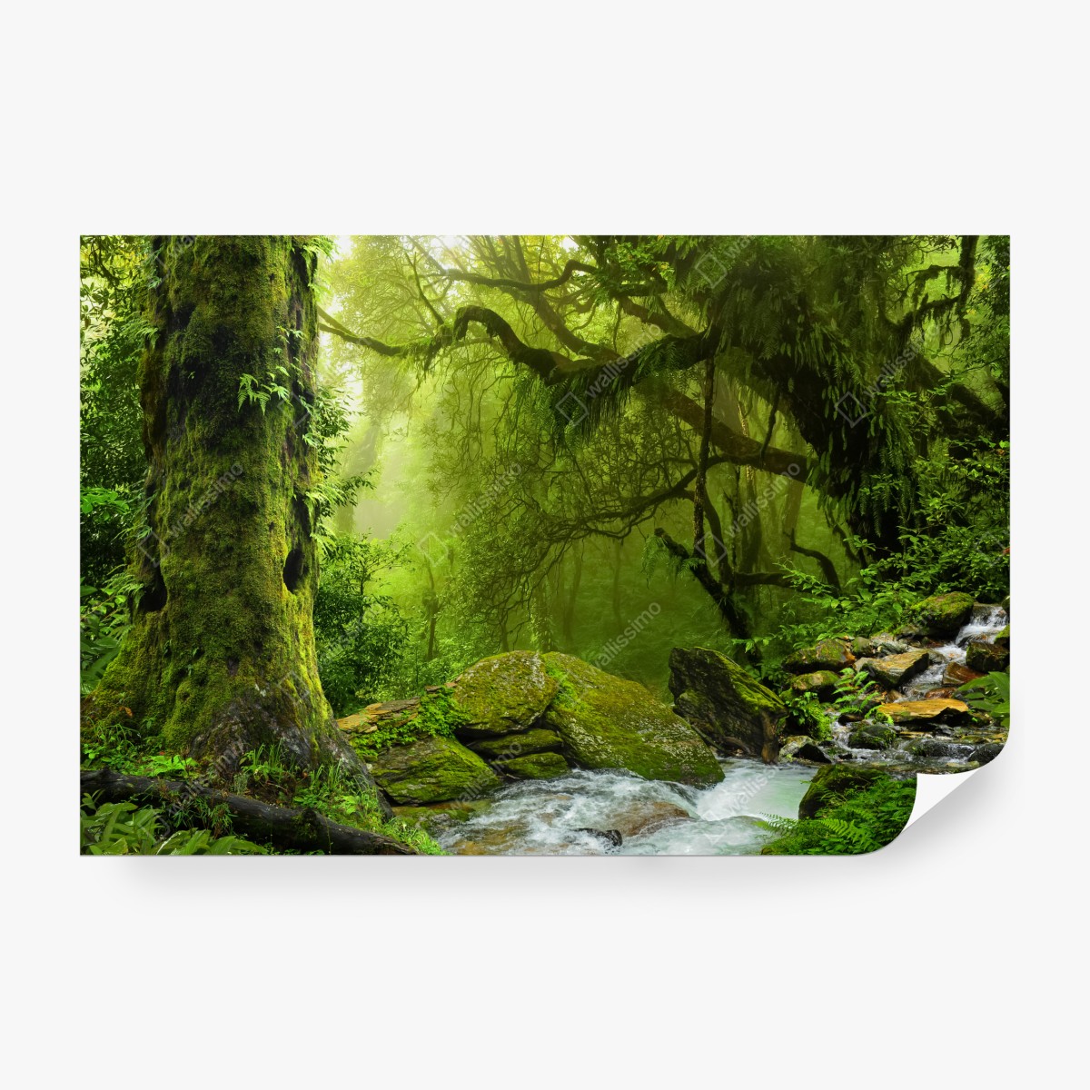 Fototapeta zaczarowany zielony leśny strumień – Wallissimo® Fototapeta zaczarowany zielony leśny strumień – Wallissimo®