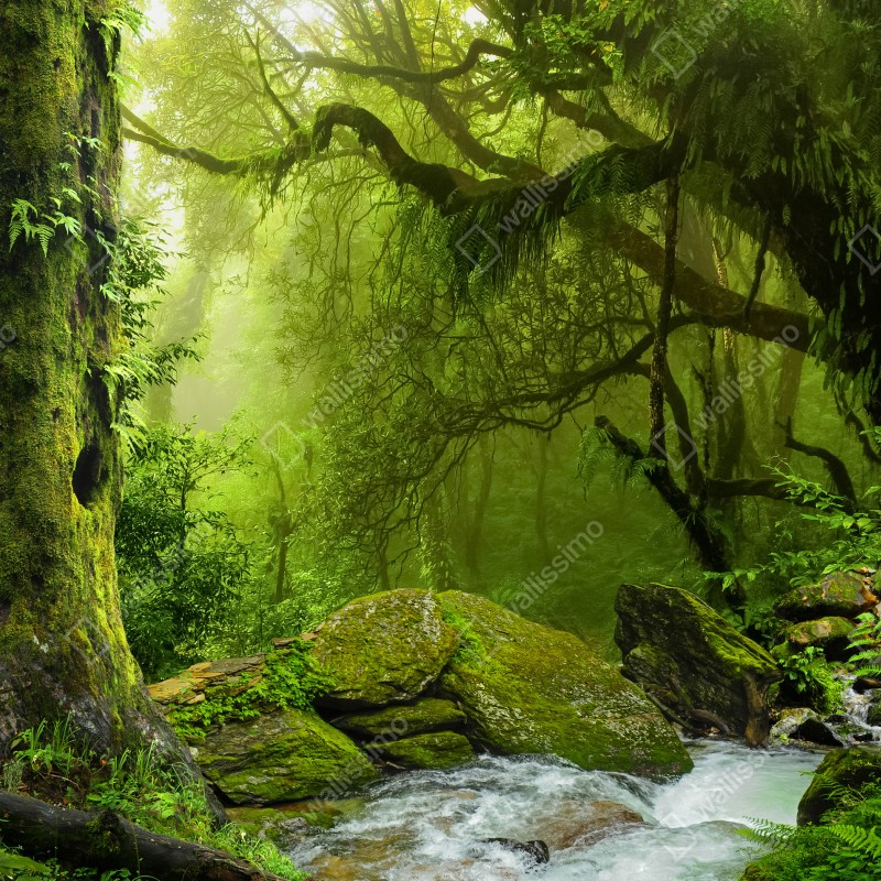 Fototapeta zaczarowany zielony leśny strumień – Wallissimo® Fototapeta zaczarowany zielony leśny strumień – Wallissimo®