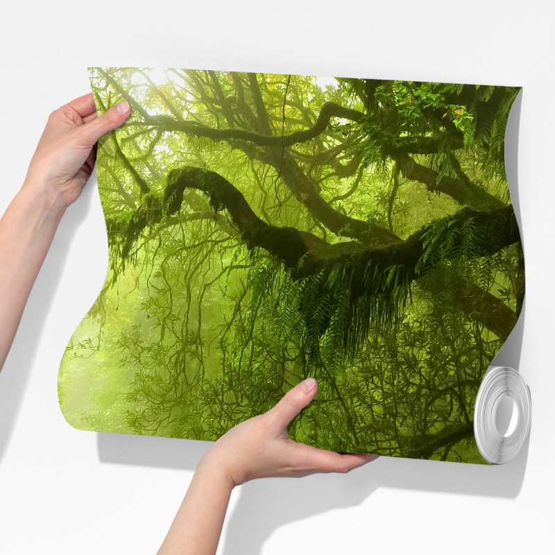 Fototapeta zaczarowany zielony leśny strumień – Wallissimo® Fototapeta zaczarowany zielony leśny strumień – Wallissimo®