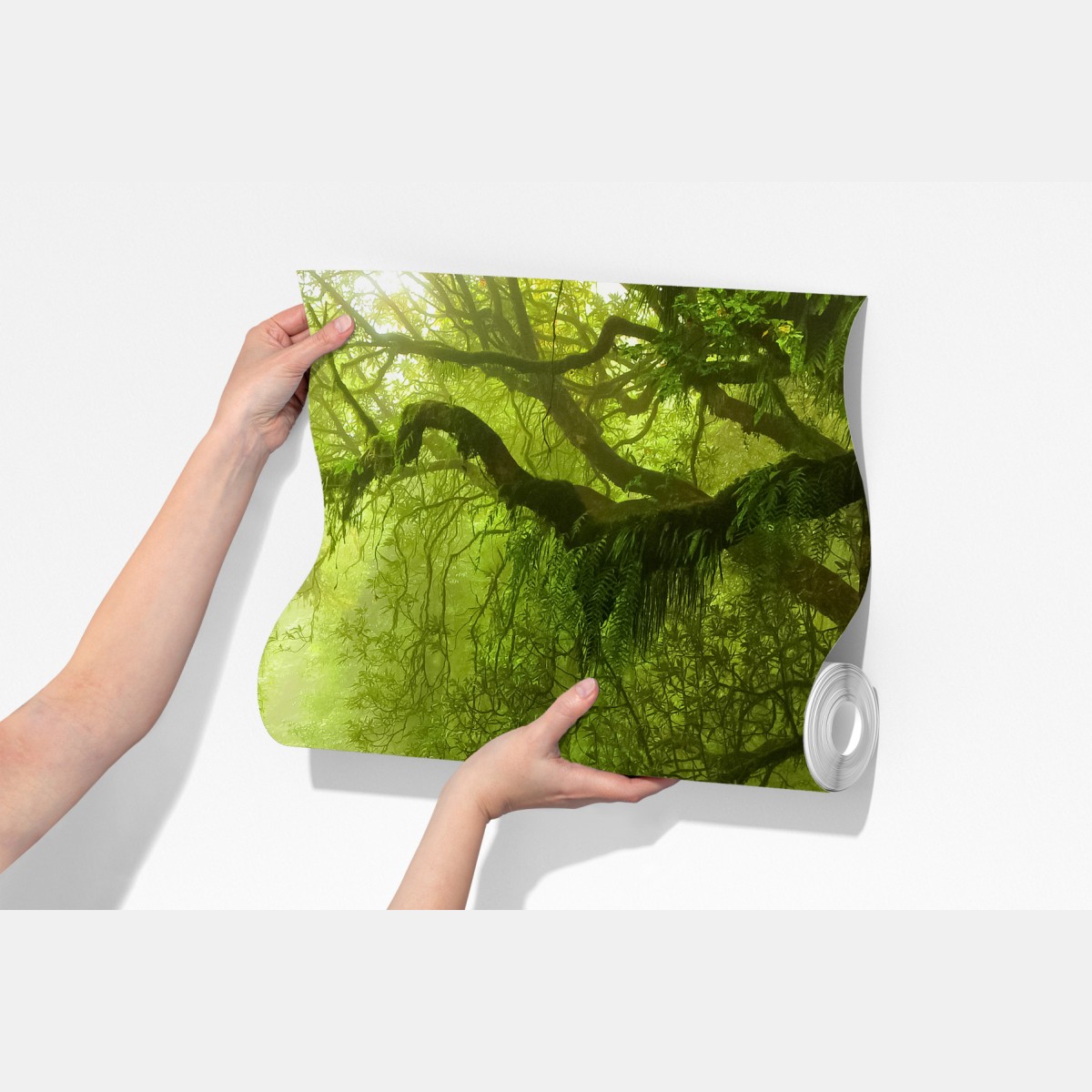 Fototapeta zaczarowany zielony leśny strumień – Wallissimo® Fototapeta zaczarowany zielony leśny strumień – Wallissimo®