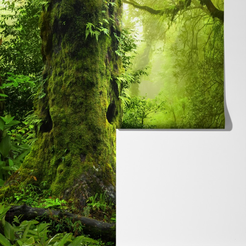 Fototapeta zaczarowany zielony leśny strumień – Wallissimo® Fototapeta zaczarowany zielony leśny strumień – Wallissimo®