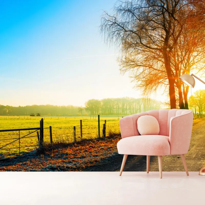 Wall mural sunlit country road through autumn meadow