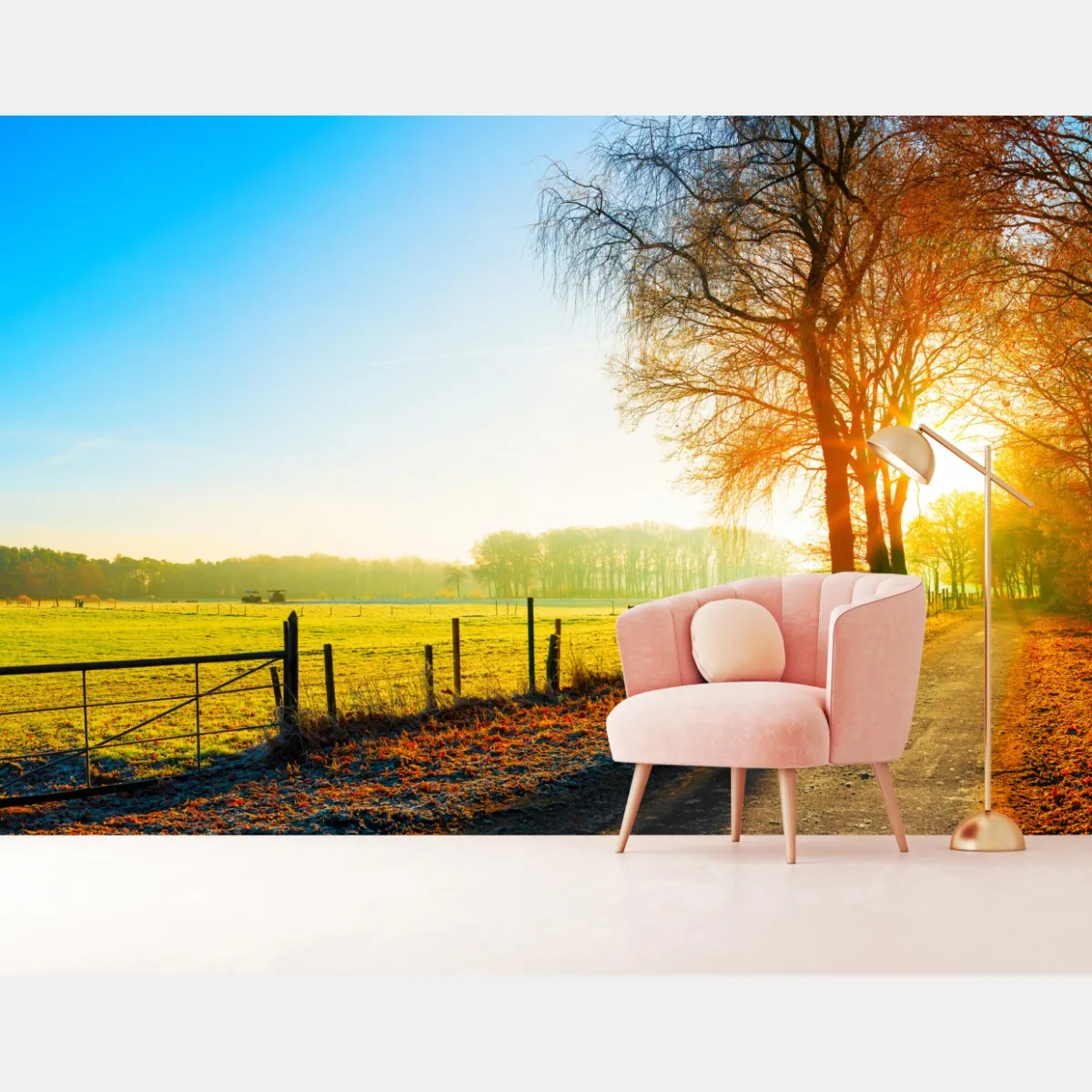 Fototapeta słoneczna wiejska droga przez jesienną łąkę – Wallissimo® Fototapeta słoneczna wiejska droga przez jesienną łąkę – Wallissimo®