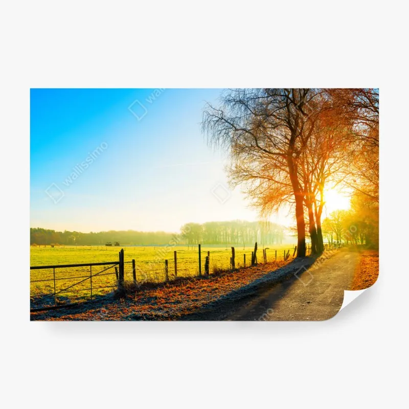 Fototapeta alpaki i lamy pasące się przy Mt Ausangate, Cusco – Wallissimo®