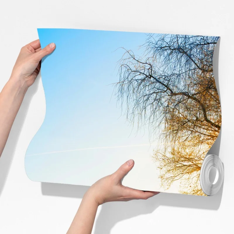 Fototapeta słoneczna wiejska droga przez jesienną łąkę – Wallissimo® Fototapeta słoneczna wiejska droga przez jesienną łąkę – Wallissimo®