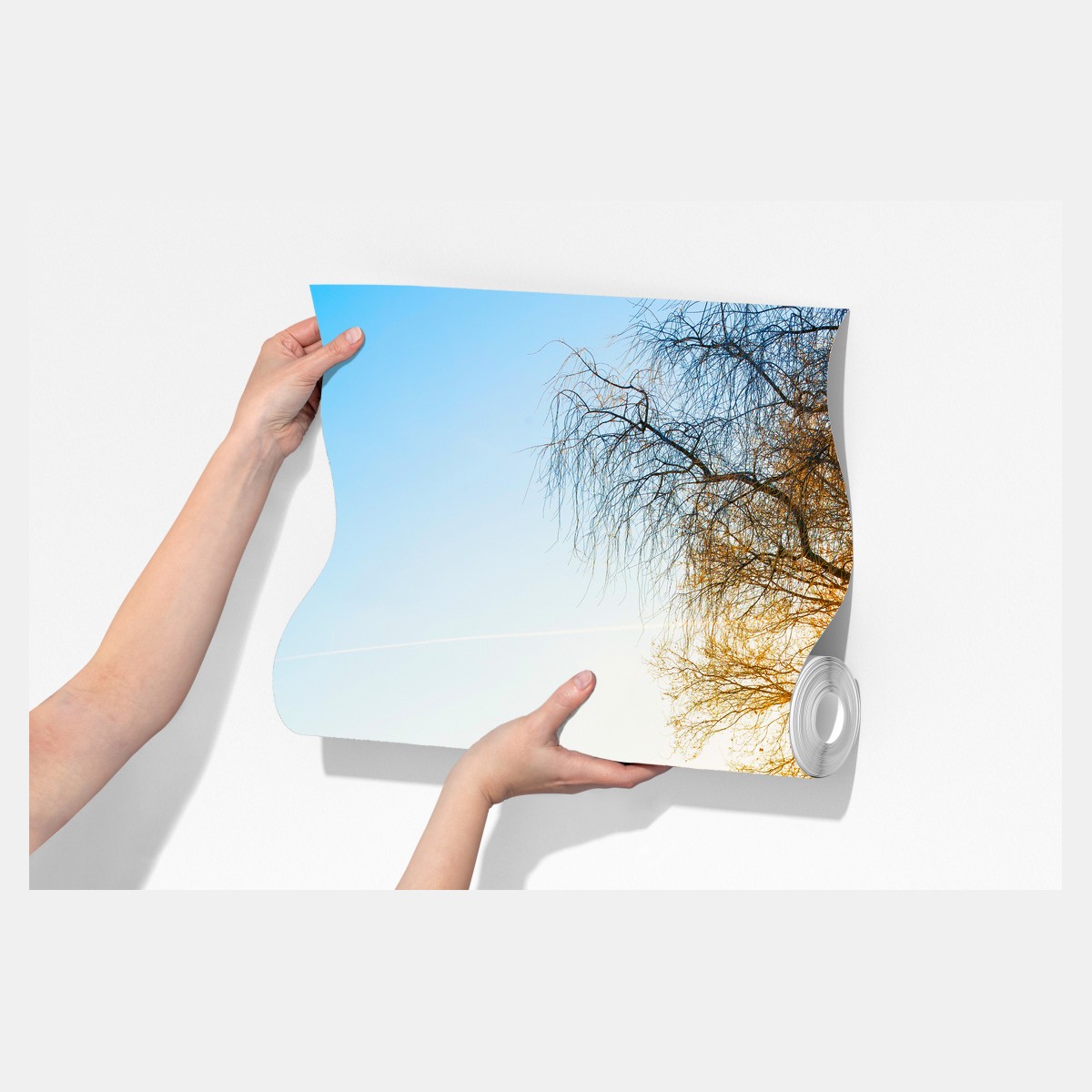 Fototapeta słoneczna wiejska droga przez jesienną łąkę – Wallissimo® Fototapeta słoneczna wiejska droga przez jesienną łąkę – Wallissimo®