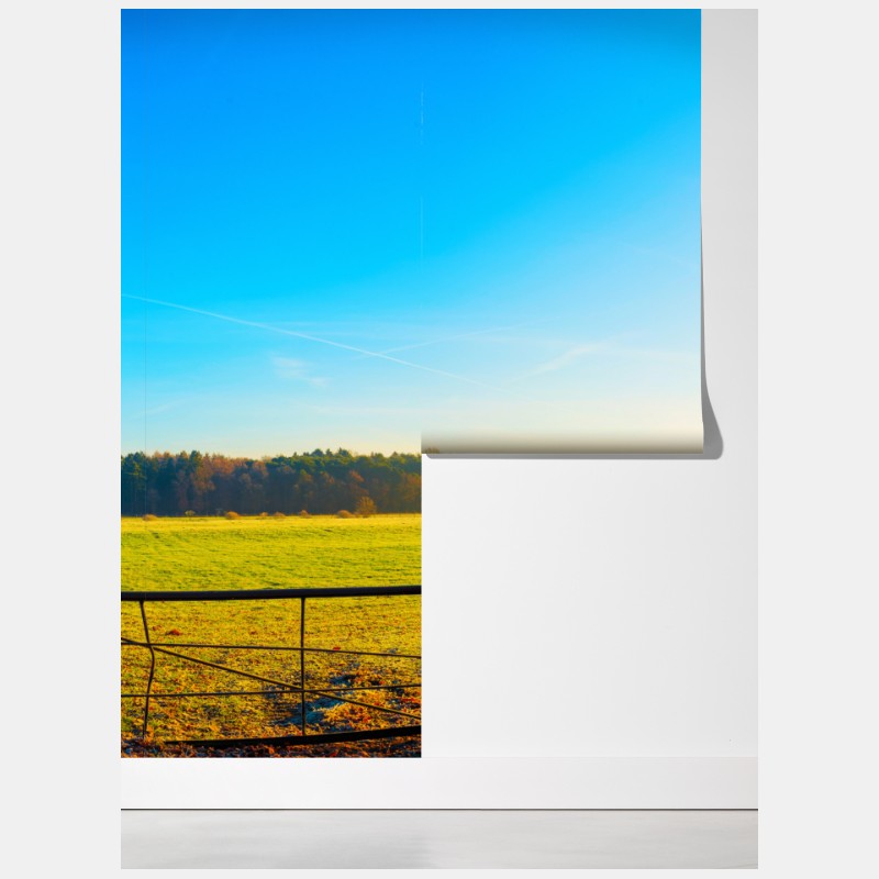 Fototapeta słoneczna wiejska droga przez jesienną łąkę – Wallissimo® Fototapeta słoneczna wiejska droga przez jesienną łąkę – Wallissimo®