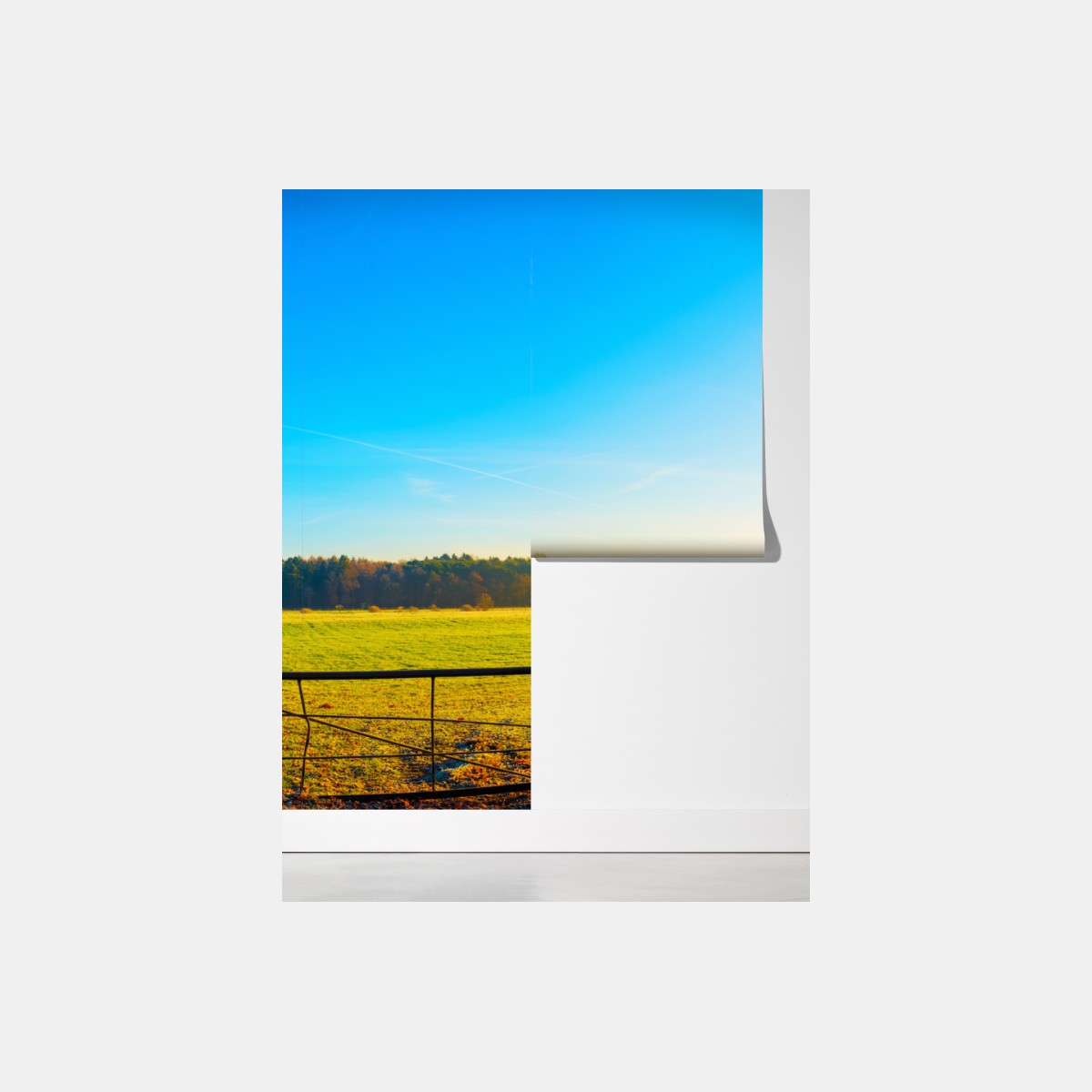 Fototapeta słoneczna wiejska droga przez jesienną łąkę – Wallissimo® Fototapeta słoneczna wiejska droga przez jesienną łąkę – Wallissimo®