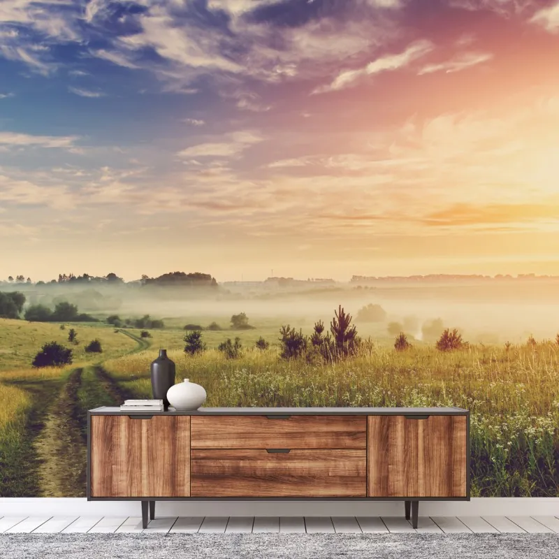 Wall mural misty sunrise over a rural meadow