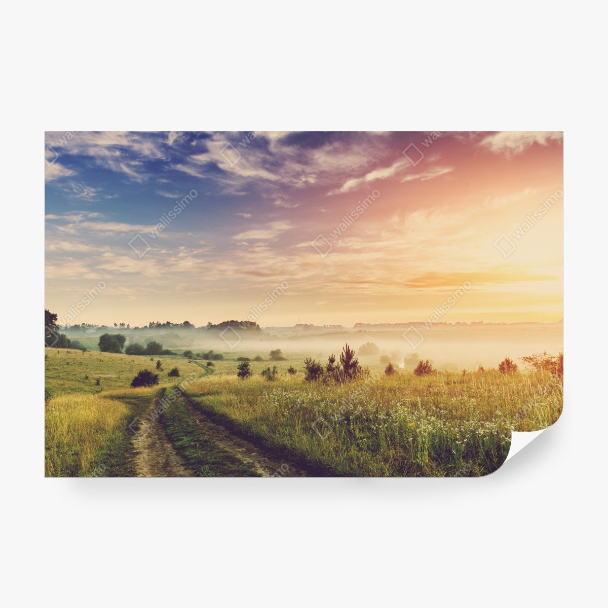 Fototapeta mglisty wschód słońca nad wiejską łąką – Wallissimo® Fototapeta mglisty wschód słońca nad wiejską łąką – Wallissimo®