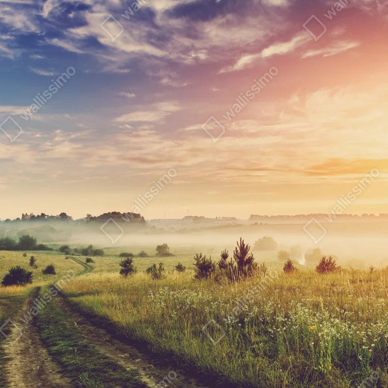 Fototapeta mglisty wschód słońca nad wiejską łąką – Wallissimo® Fototapeta mglisty wschód słońca nad wiejską łąką – Wallissimo®