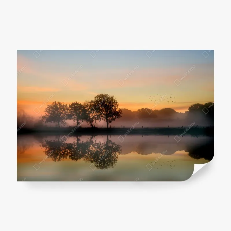 Fototapeta minimalistyczny wzór z ręcznie rysowanymi drzewami – Wallissimo®