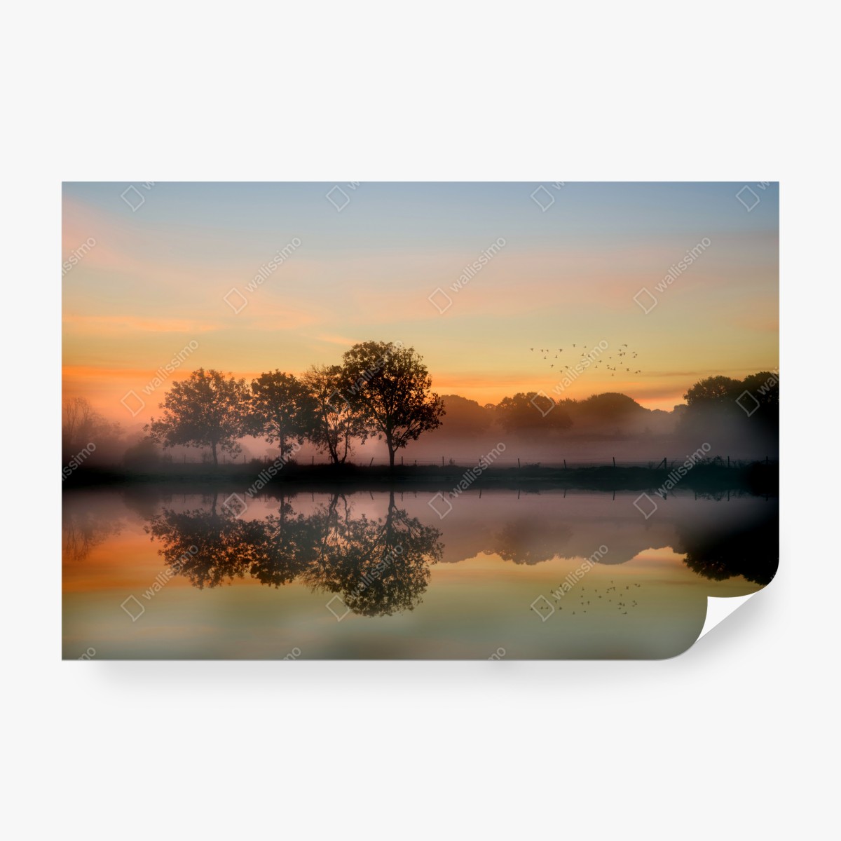 Fototapeta mglisty jesienny wschód słońca nad Angielską wsią – Wallissimo® Fototapeta mglisty jesienny wschód słońca nad Angielską wsią – Wallissimo®