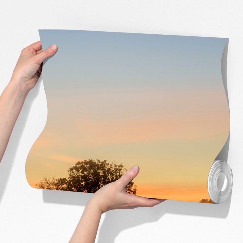 Fototapeta mglisty jesienny wschód słońca nad Angielską wsią – Wallissimo® Fototapeta mglisty jesienny wschód słońca nad Angielską wsią – Wallissimo®