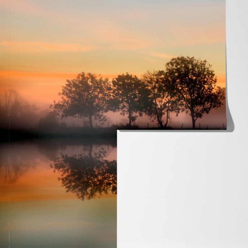 Fototapeta mglisty jesienny wschód słońca nad Angielską wsią – Wallissimo® Fototapeta mglisty jesienny wschód słońca nad Angielską wsią – Wallissimo®