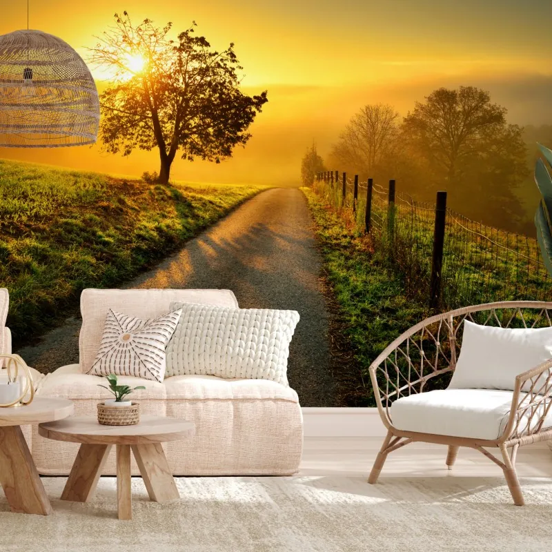 Wall mural sunlit countryside path at sunrise