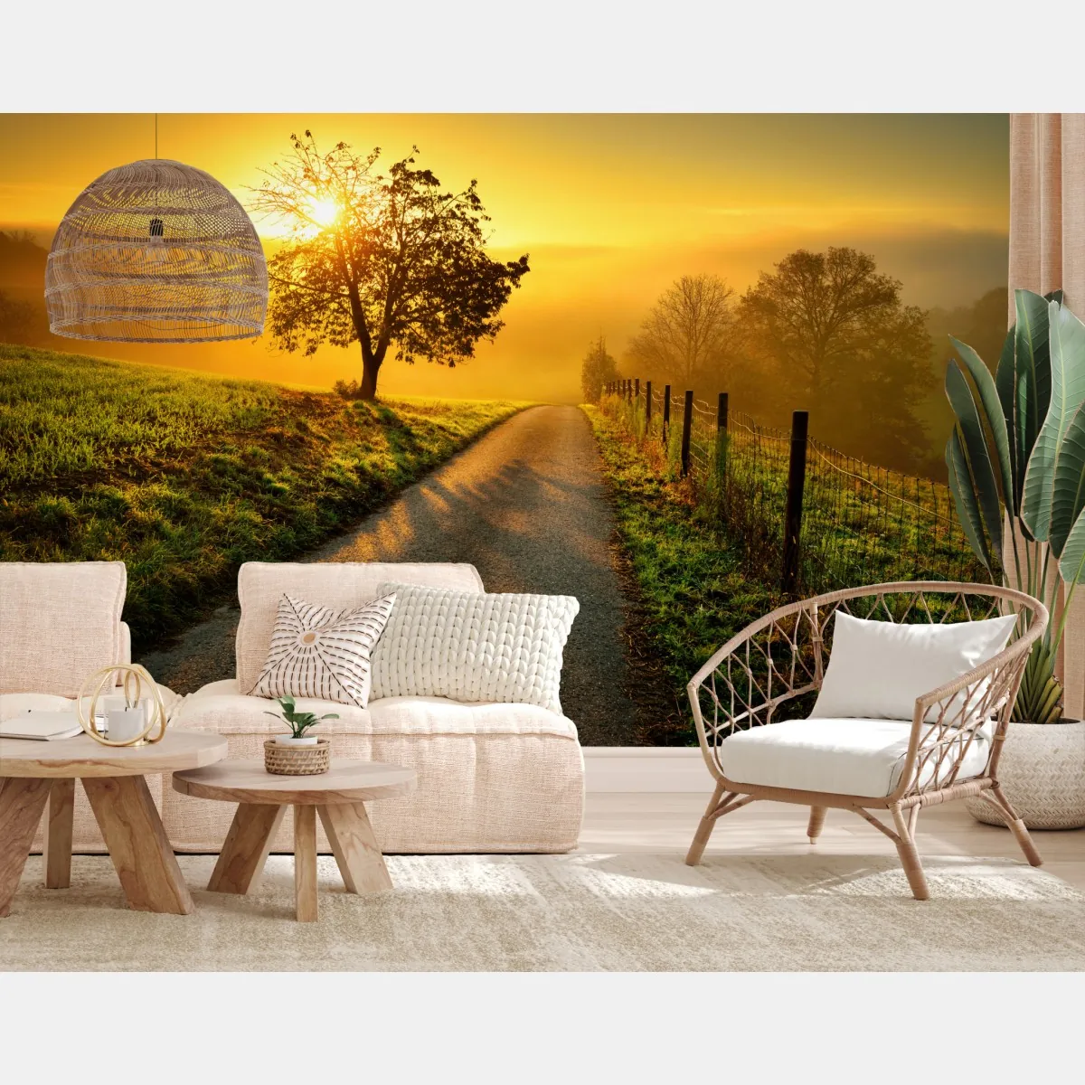 Fototapeta słoneczna droga przez wiejską łąkę o świcie – Wallissimo® Fototapeta słoneczna droga przez wiejską łąkę o świcie – Wallissimo®