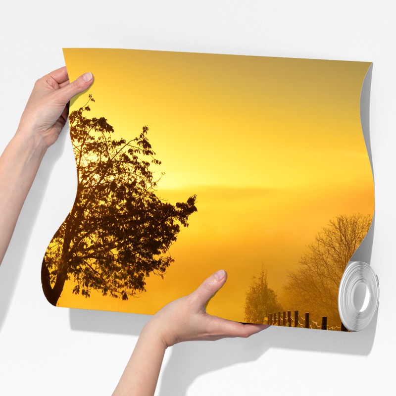 Fototapeta słoneczna droga przez wiejską łąkę o świcie – Wallissimo® Fototapeta słoneczna droga przez wiejską łąkę o świcie – Wallissimo®