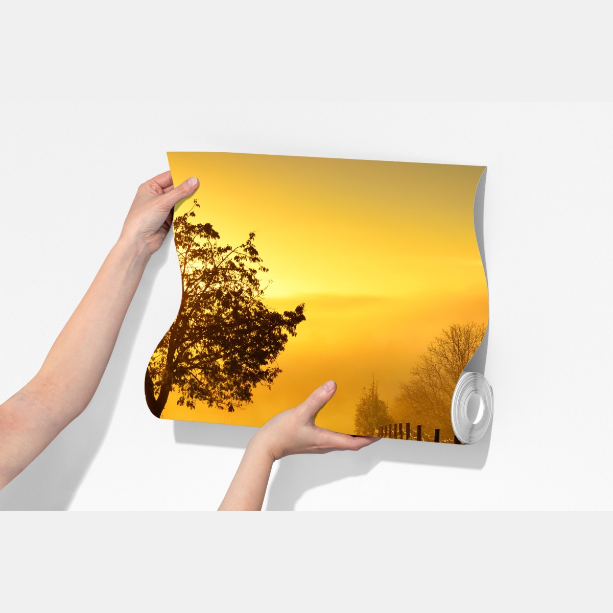 Fototapeta słoneczna droga przez wiejską łąkę o świcie – Wallissimo® Fototapeta słoneczna droga przez wiejską łąkę o świcie – Wallissimo®