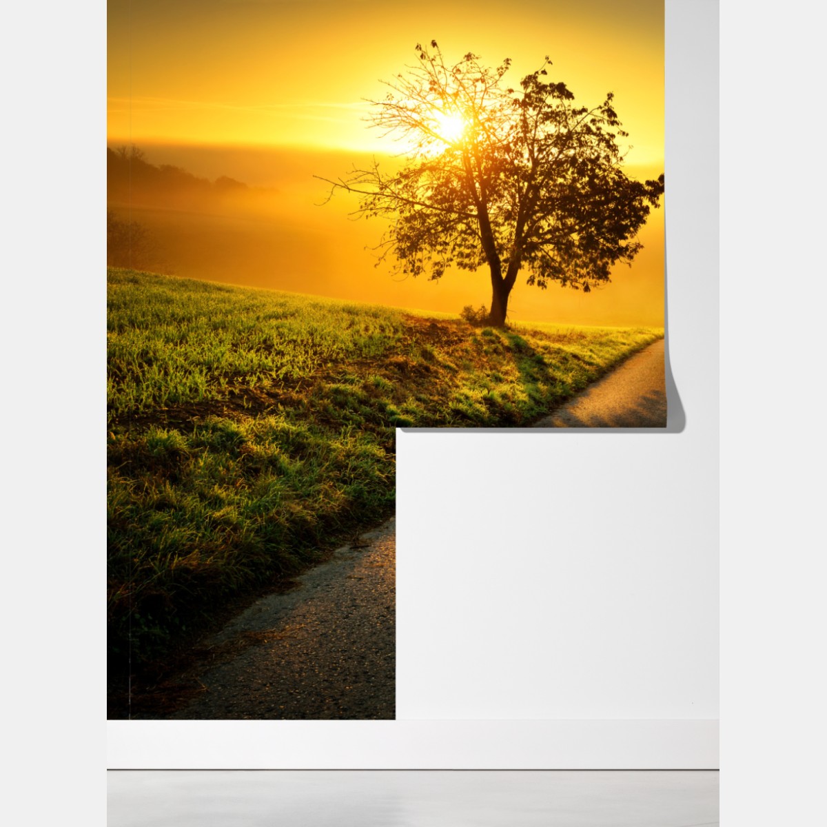 Fototapeta słoneczna droga przez wiejską łąkę o świcie – Wallissimo® Fototapeta słoneczna droga przez wiejską łąkę o świcie – Wallissimo®