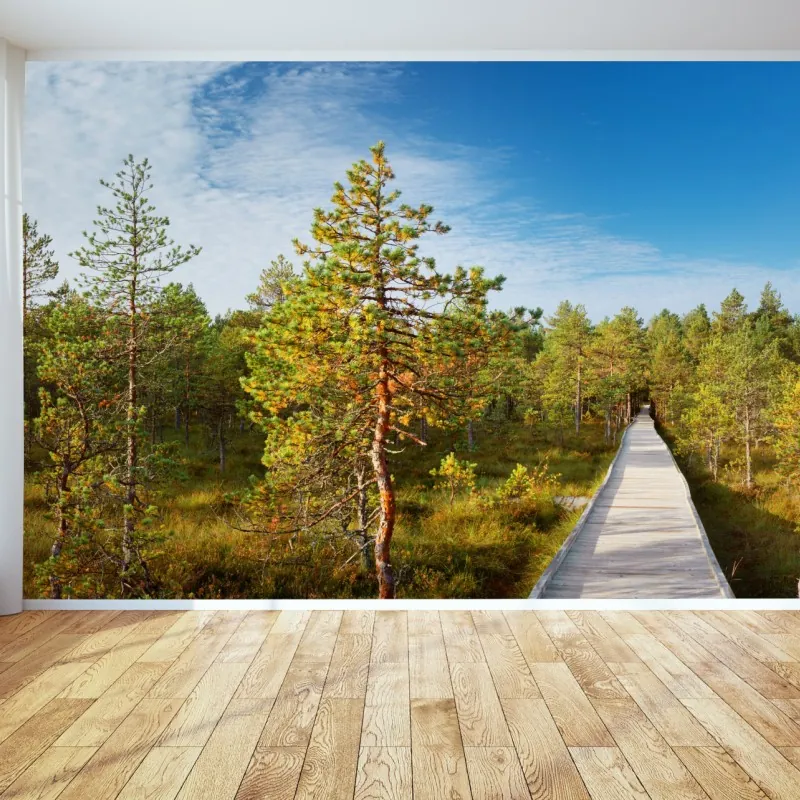 Fototapeta słoneczna kładka w sosnowym lesie – Wallissimo® Fototapeta słoneczna kładka w sosnowym lesie – Wallissimo®