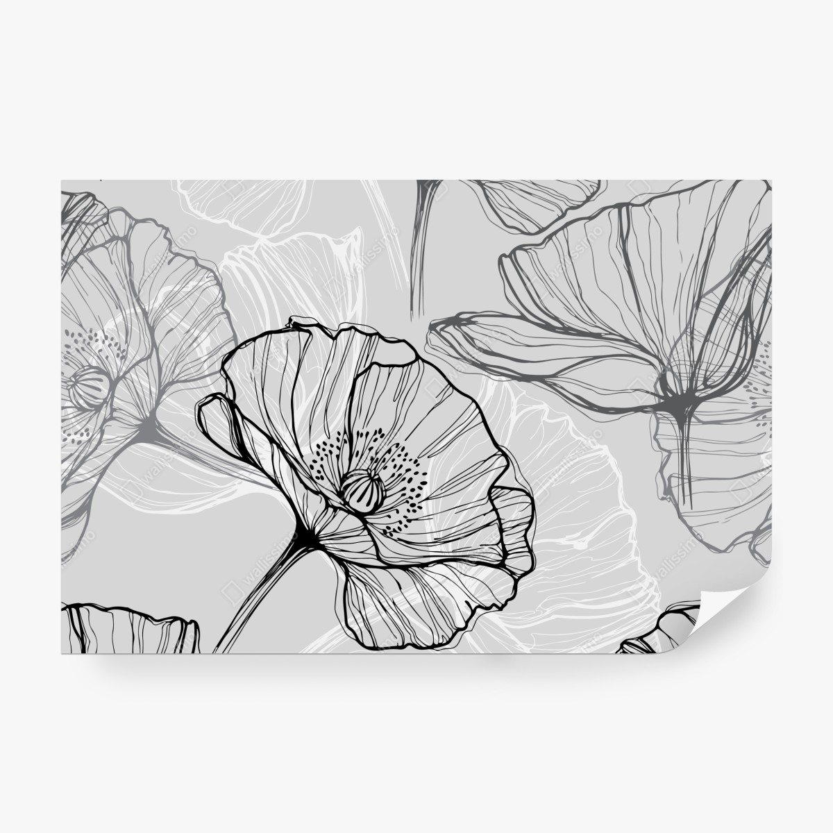 Fototapeta delikatny szary mak w rysunku liniowym – Wallissimo® Fototapeta delikatny szary mak w rysunku liniowym – Wallissimo®