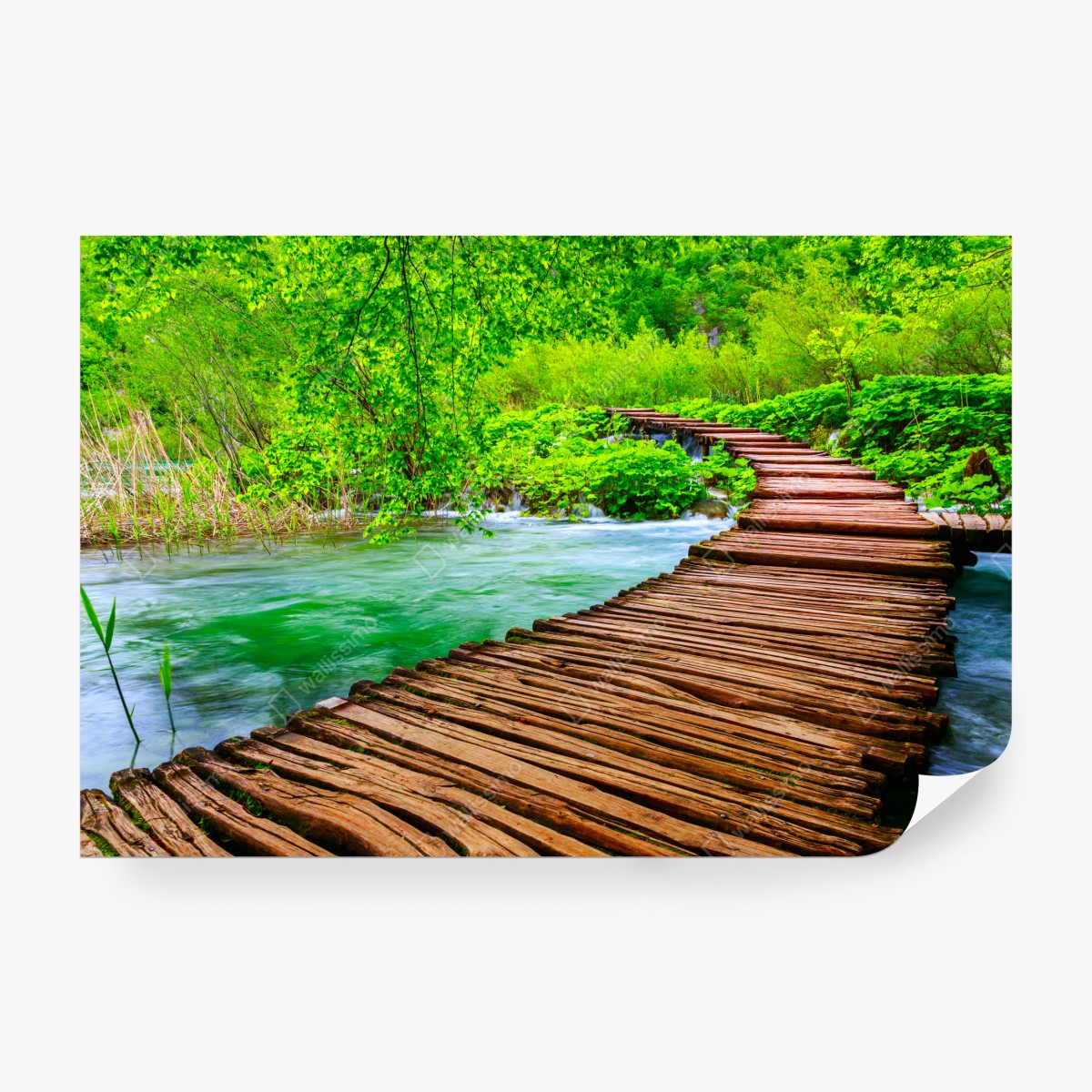 Fototapeta spokojna zielona kładka nad rzeką – Wallissimo® Fototapeta spokojna zielona kładka nad rzeką – Wallissimo®