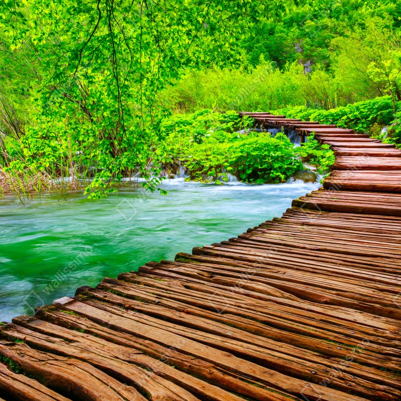 Fototapeta spokojna zielona kładka nad rzeką – Wallissimo® Fototapeta spokojna zielona kładka nad rzeką – Wallissimo®