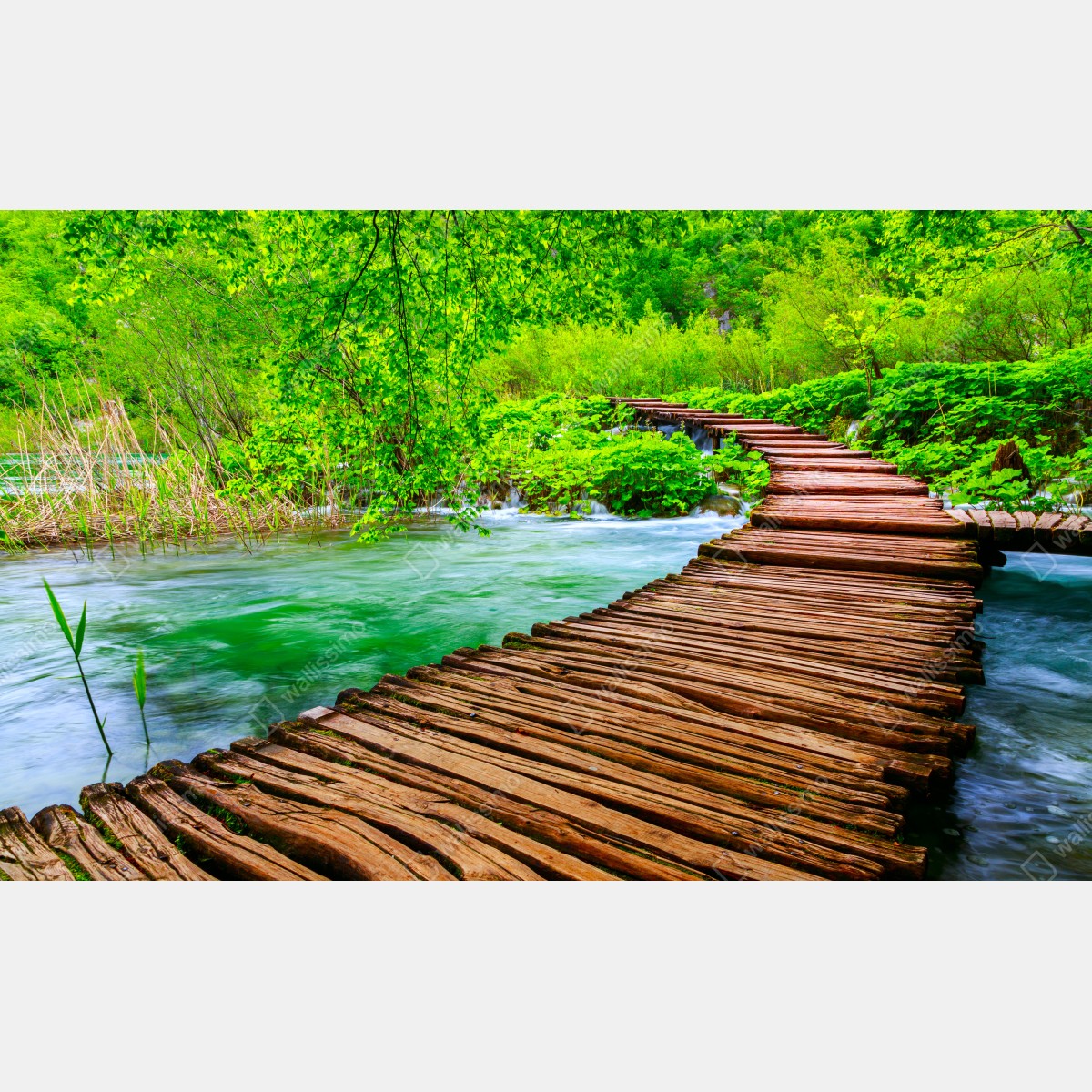 Fototapeta spokojna zielona kładka nad rzeką – Wallissimo® Fototapeta spokojna zielona kładka nad rzeką – Wallissimo®