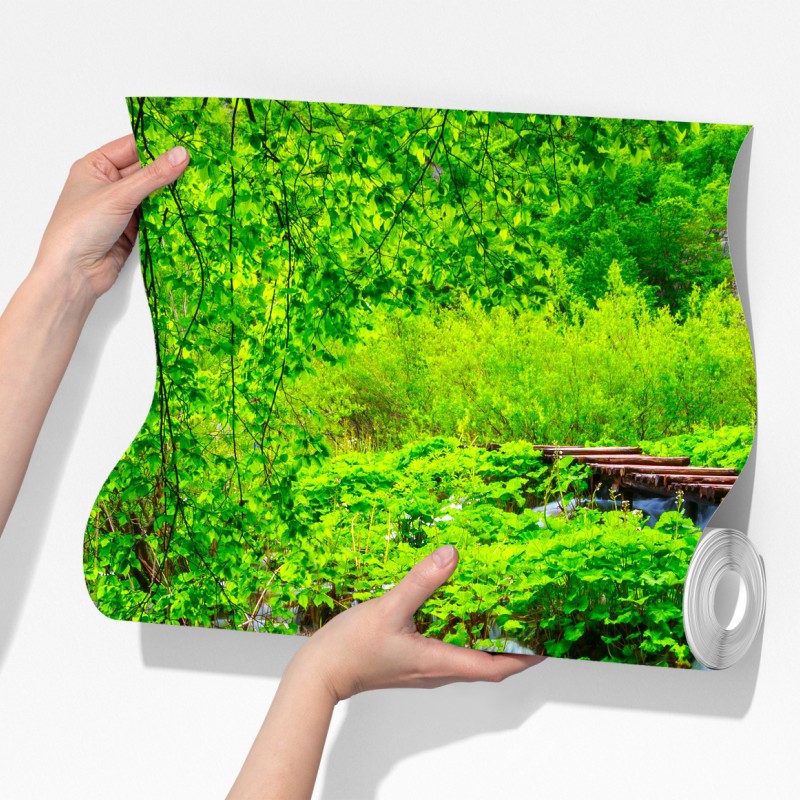 Fototapeta spokojna zielona kładka nad rzeką – Wallissimo® Fototapeta spokojna zielona kładka nad rzeką – Wallissimo®