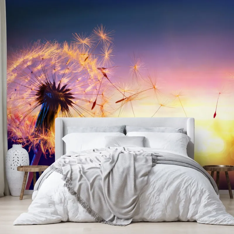 Wall mural golden dandelion at sunset