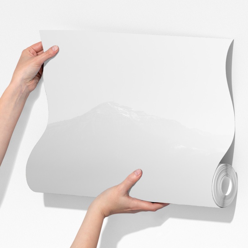 Fototapeta samotny wioślarz na mglistym jeziorze – Wallissimo® Fototapeta samotny wioślarz na mglistym jeziorze – Wallissimo®