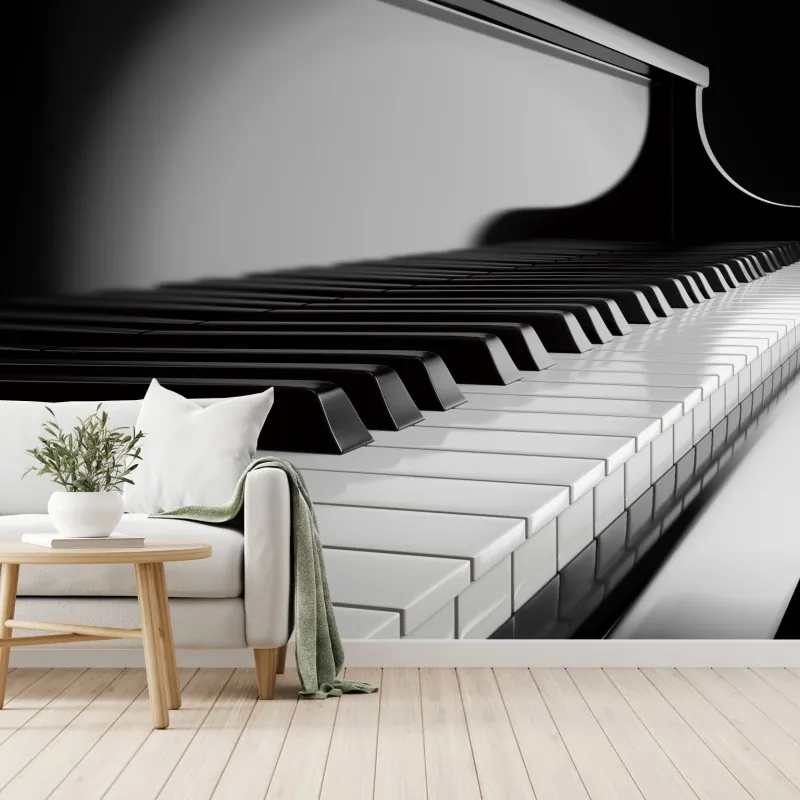 Wall mural elegant monochrome piano keys