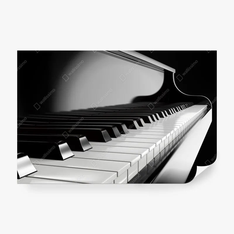 Wall mural elegant monochrome piano keys