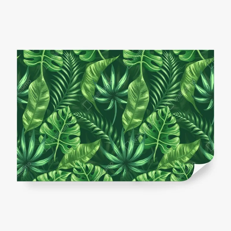 Fototapeta wzór botaniczny liści monstery – Wallissimo®