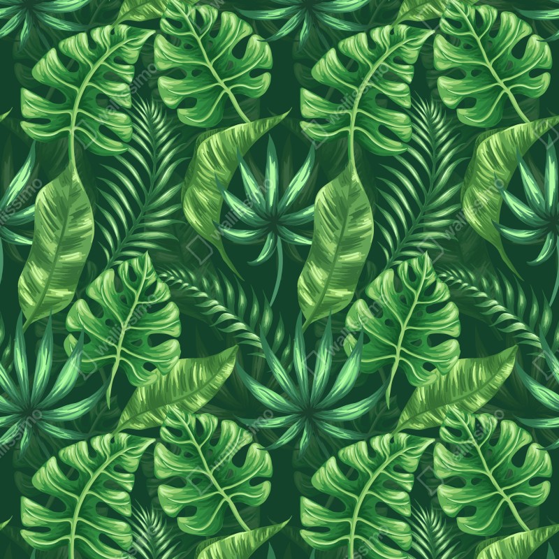 Fototapeta tropikalny wzór z liśćmi monstery – Wallissimo® Fototapeta tropikalny wzór z liśćmi monstery – Wallissimo®